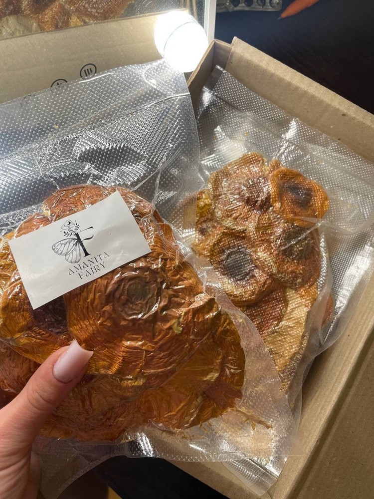 amanitas 200 g