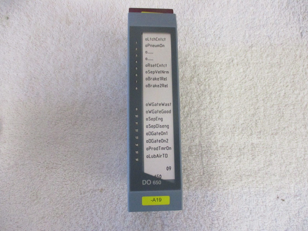 B & R Automation Digital Output Module 3D0650.6