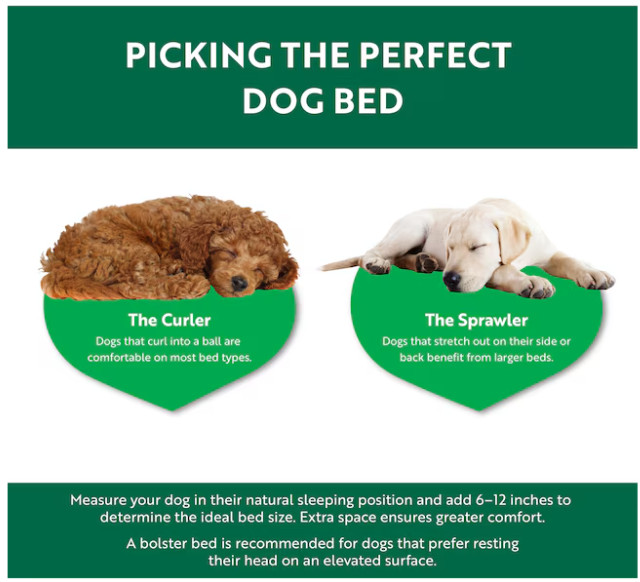 Heart & Herd Rectangular Gray Crate Polyester Pillow Dog Bed ( Medium )