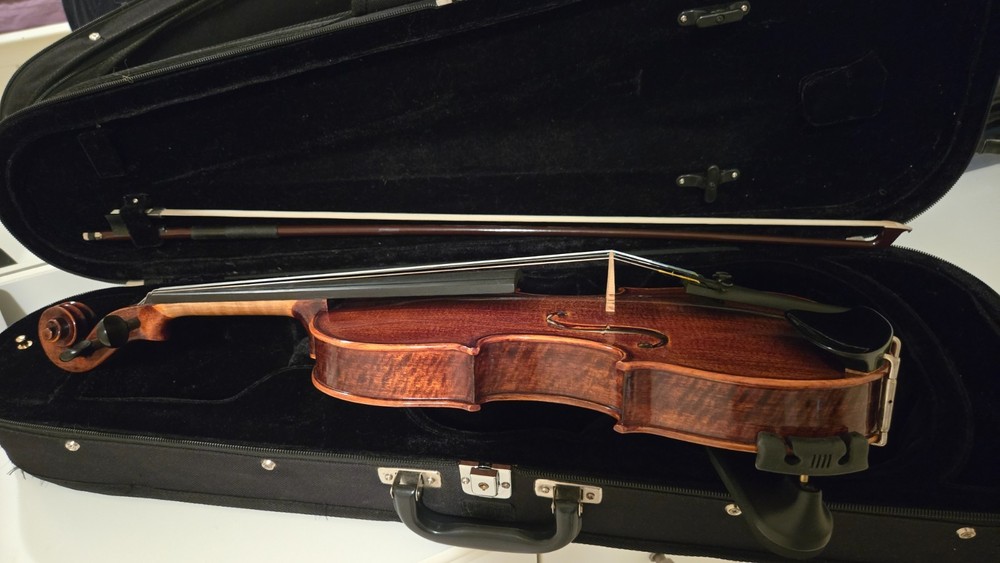 Violin Mysmilion 3/4 beautiful flames