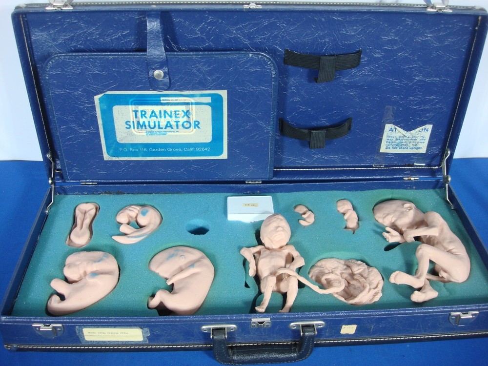 Vintage Trainex Fetal Development Trainer