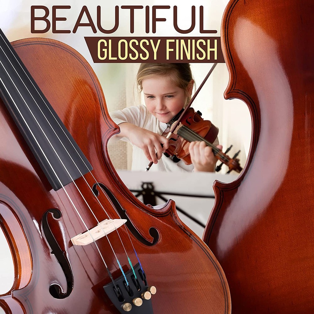 PylePro PGVILN14 Premium Violin Stringed Instrument