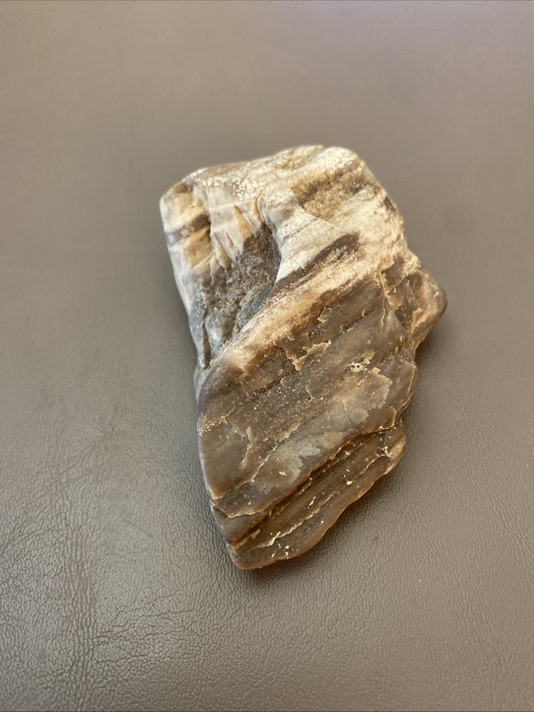 Petrified Wood