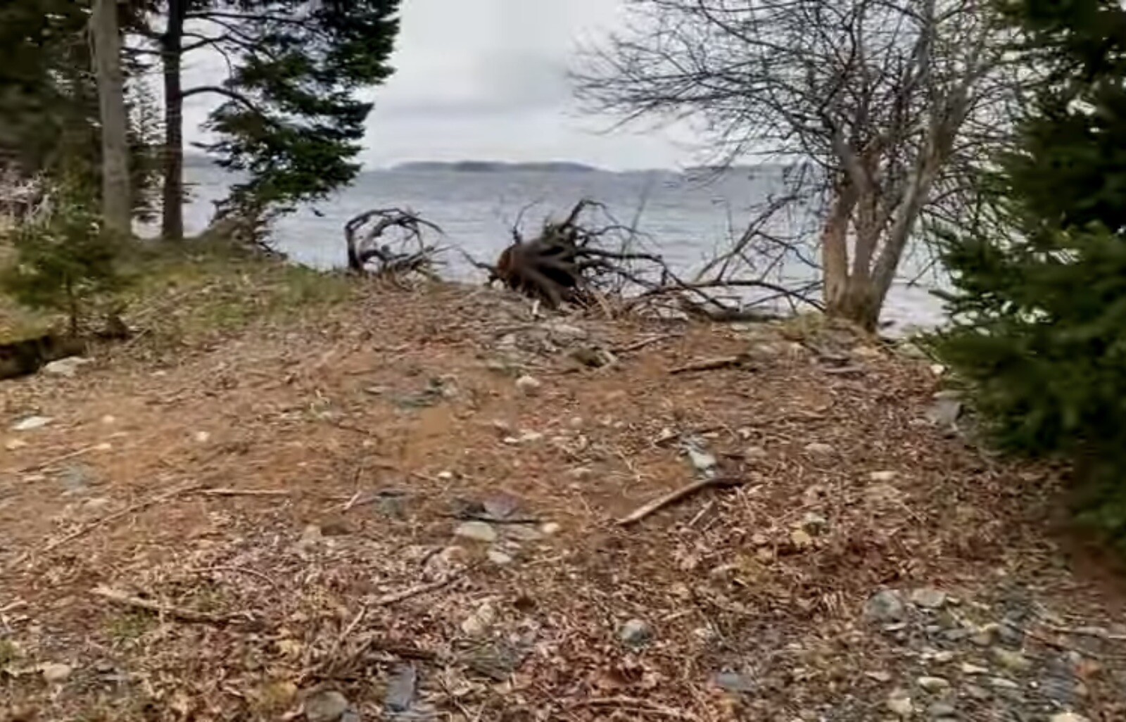 Oak Island Nova Scotia Sand Sample Mohone Bay
