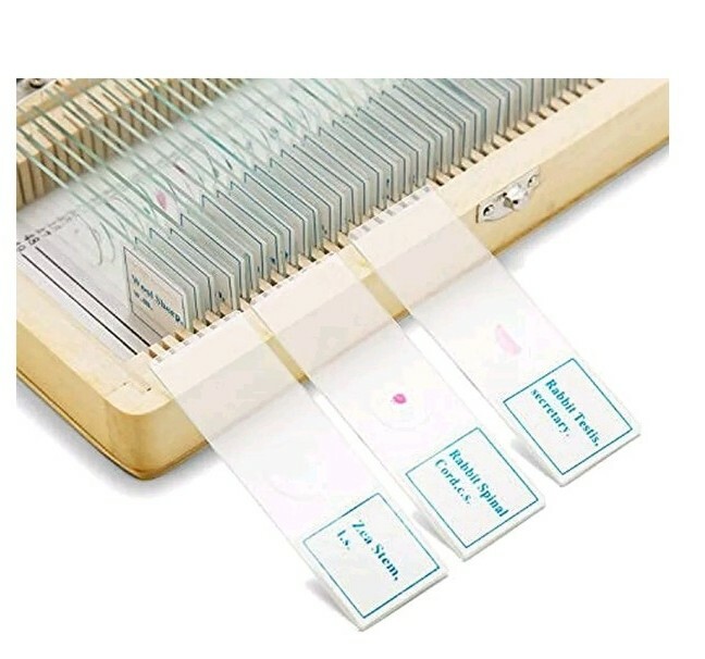 50pcs Prepared Microscope Slide Set Basic Biological Science Education 🔬
