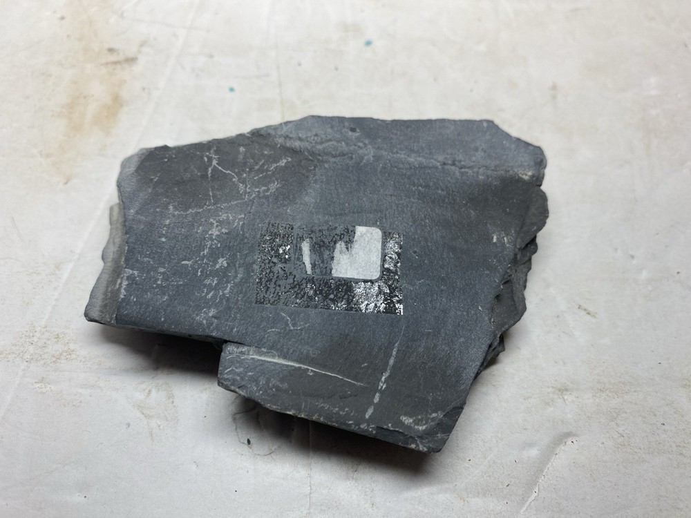 Large Multiple Trilobite Fossil Slab