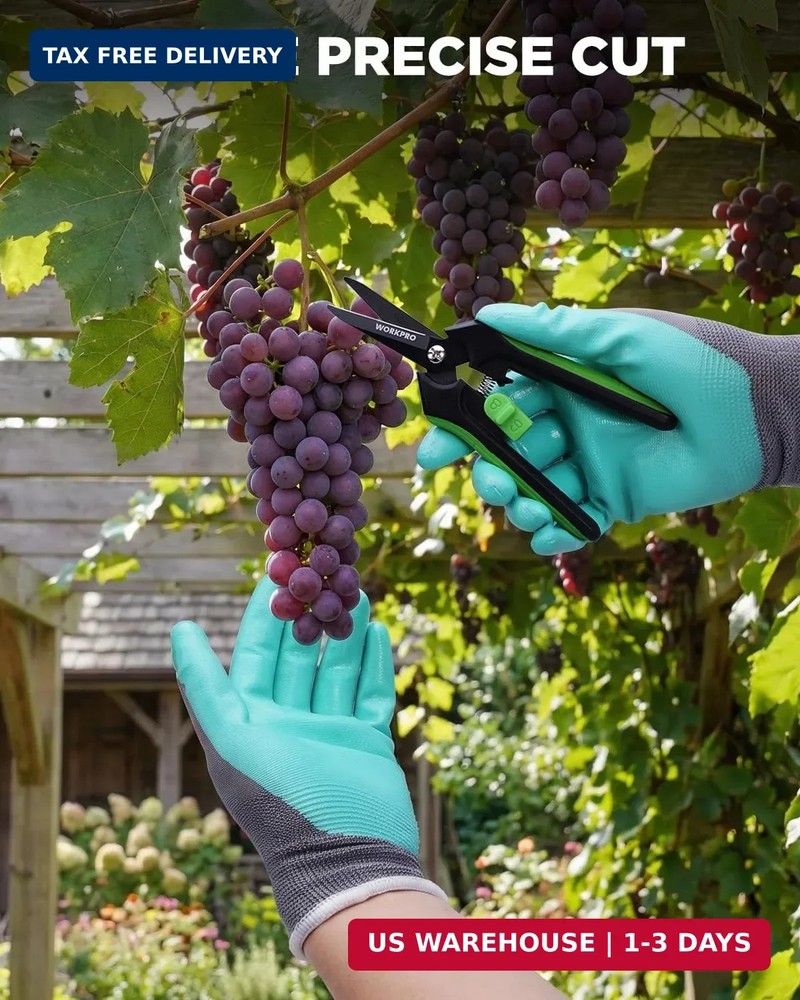 WORKPRO 6-Inch Pruning Shears, Sharp Gardening Scissors for Precise Cuts, High-C