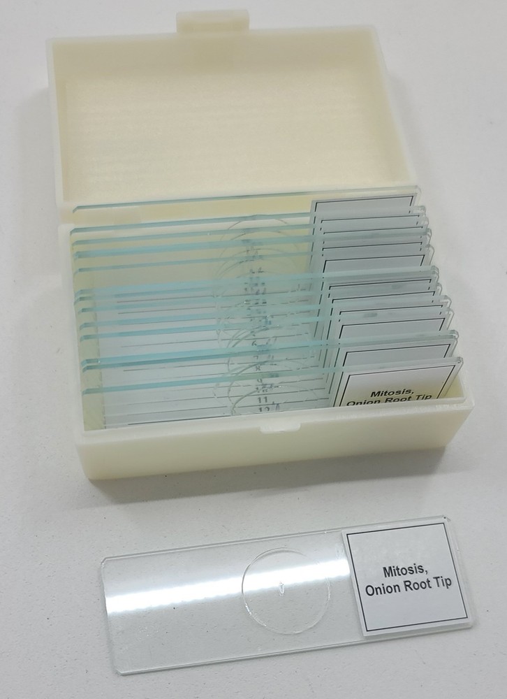 PSG22-15/SET Plant Mitosis Classpack, 15 Slides