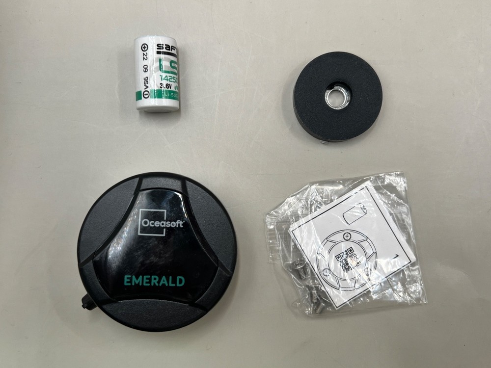 Dickson Emerald PT100 ENR.EMD.P006 Bluetooth Temperature Data Logger