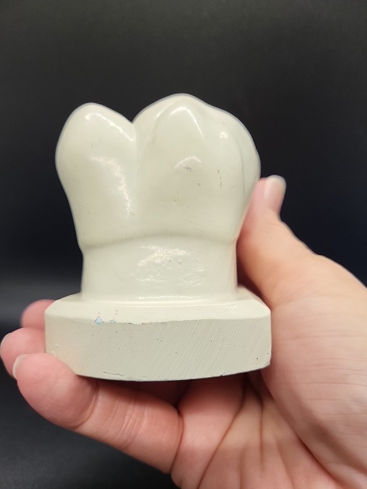 Two Weird Tooth Models 1970's
