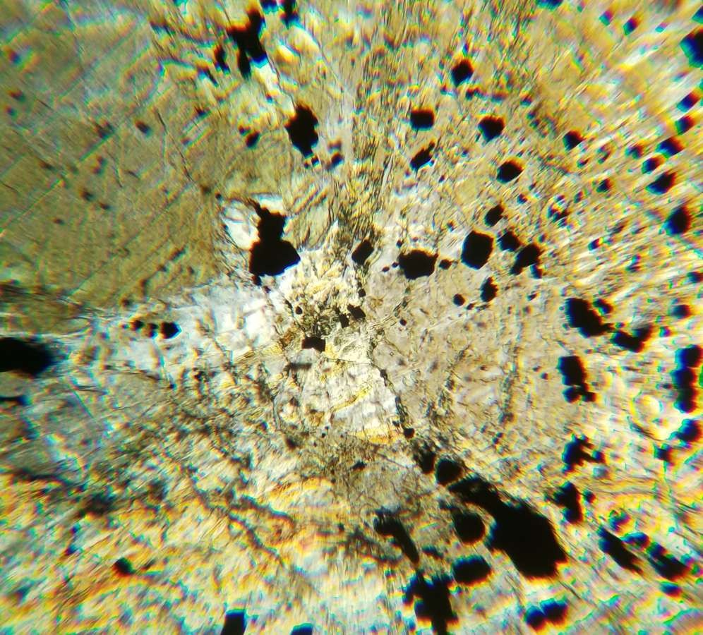 Serpentinite Petrographic Microscope Slide (7)