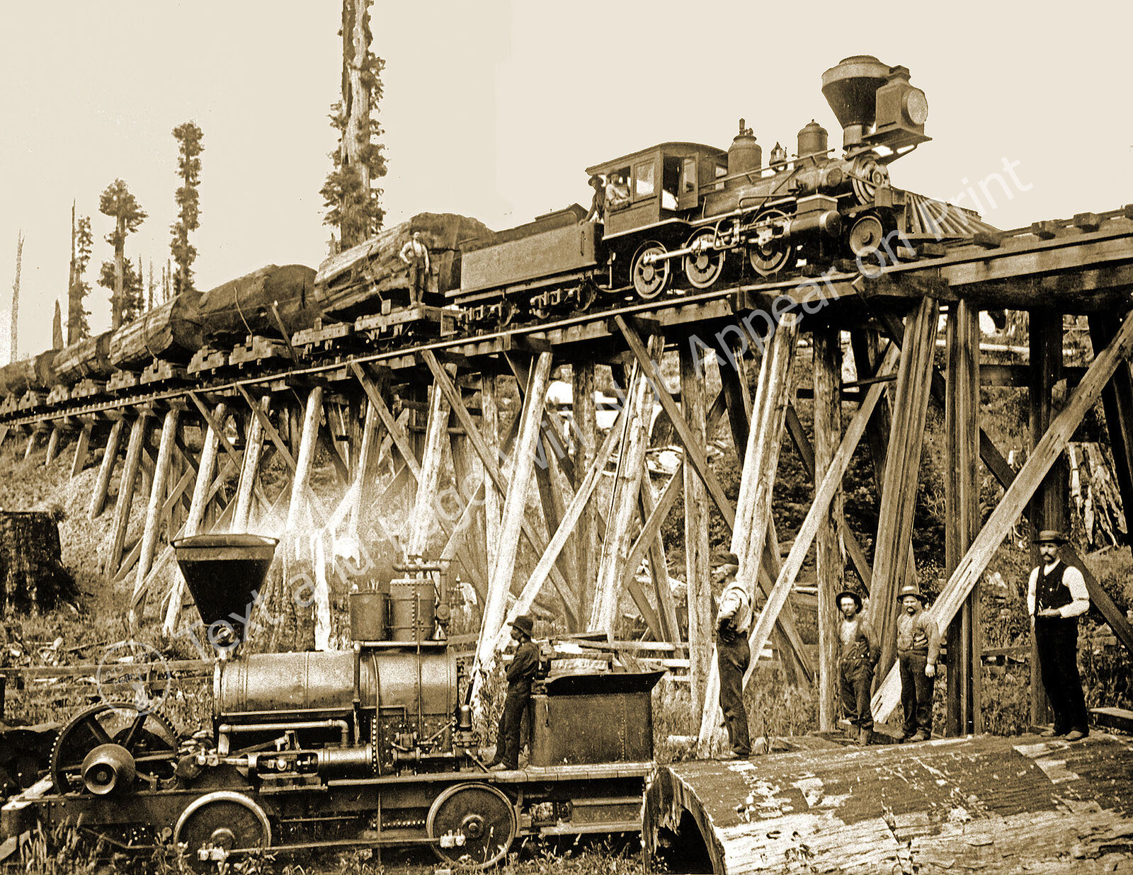 Eureka & Klamath River RR. Train, Arcata, CA Old Photo 8.5" x 11" Reprint