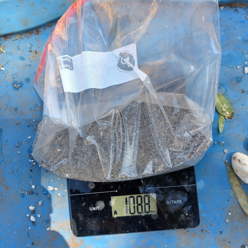 Gold Paydirt From Feather River