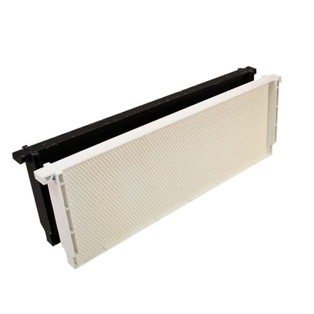 Acorn Full Plastic Frames - 10 Packs