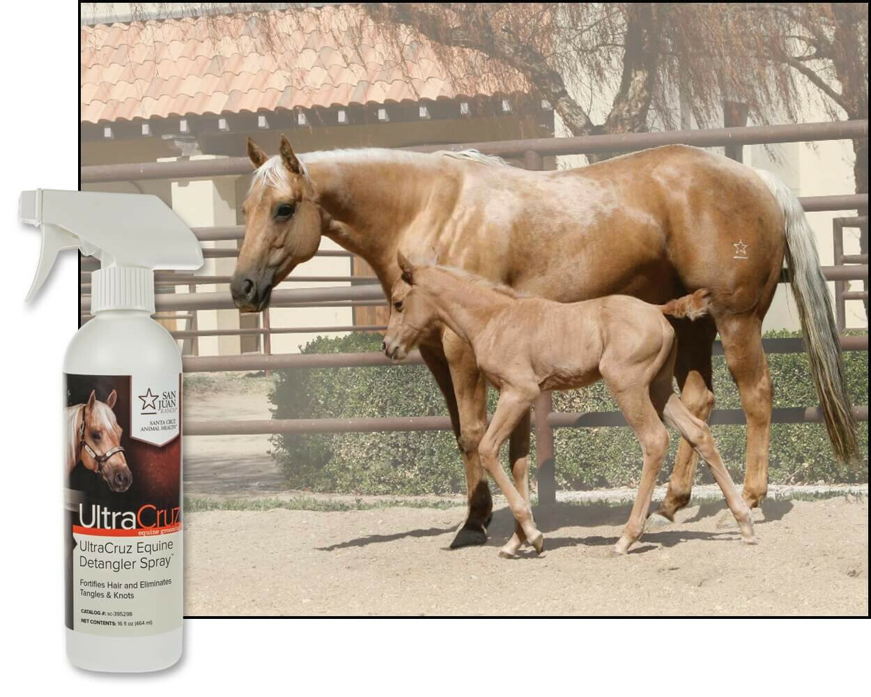 UltraCruz Equine Detangler Spray for Horses, 16 oz