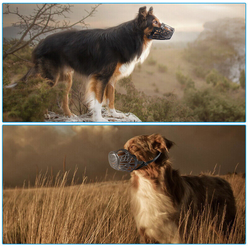 Large Pet Dog Basket Muzzle Mouth Cover Mesh Cage NoBarking Biting Chewing USA