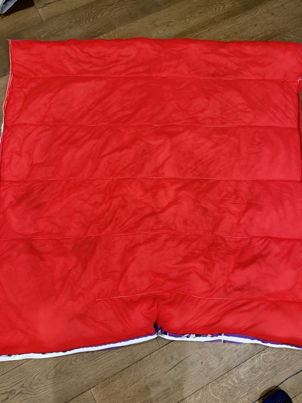 Vintage Goosebumps Skateboarding Mummy Sleeping Bag RL Stine Halloween 27x54