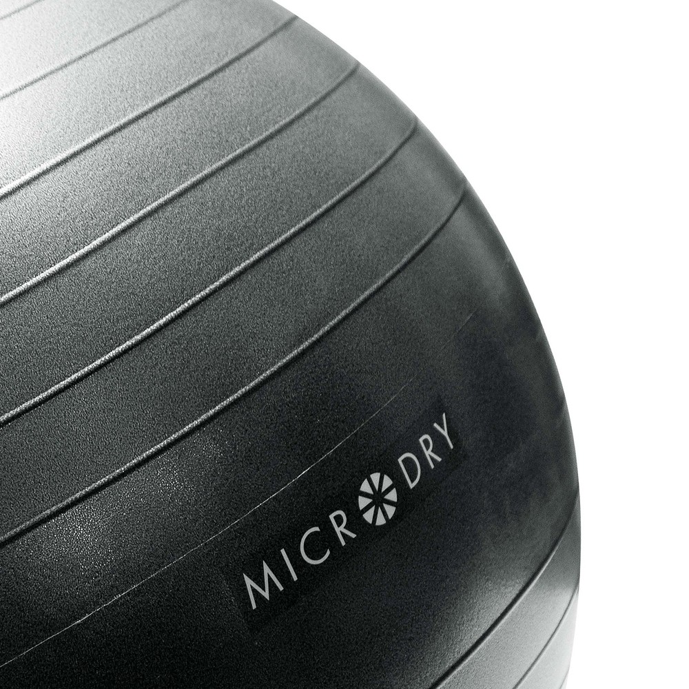 Exercise Ball with Pump for Stability and Stretching, Gray