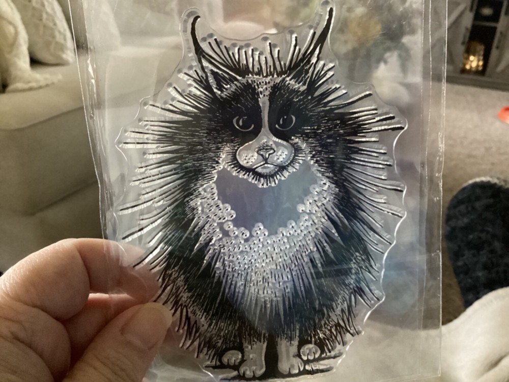 Cat Clear Stamp Lg