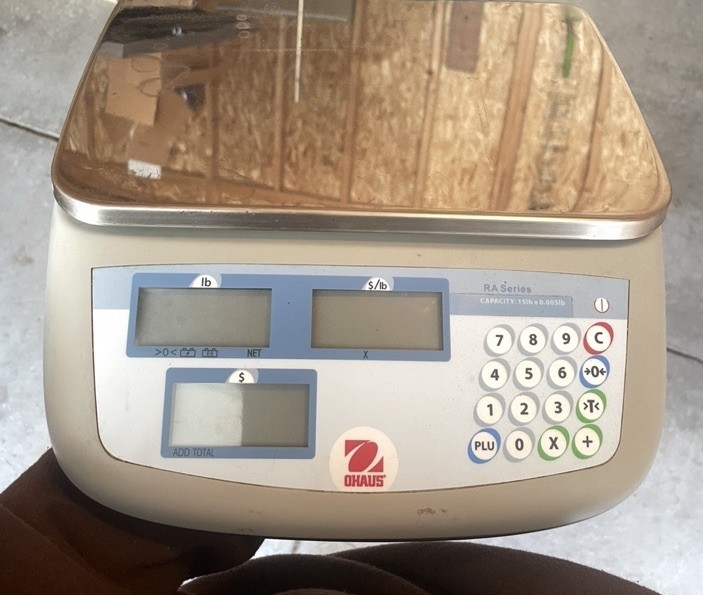 Ohaus RA Series price computing scale