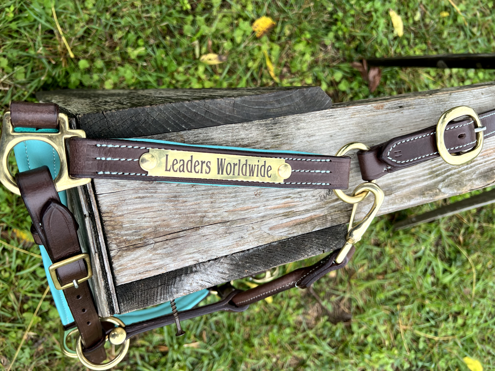 Leaders 1" Leather Halter with Turquoise Padding and Solid Brass Hardware