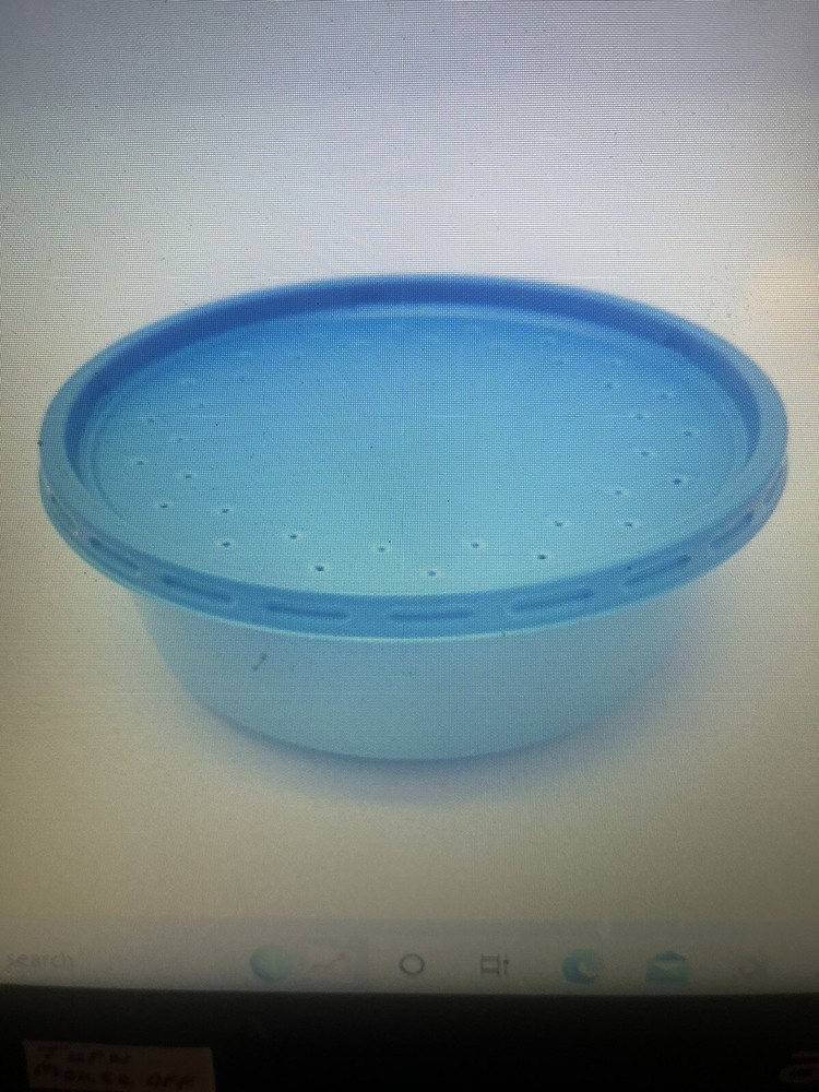 Bait/ Worm Container with vented lids