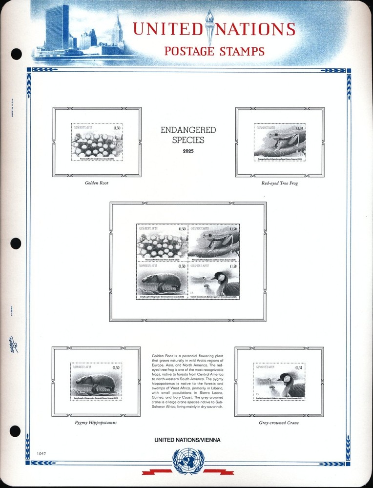 WHITE ACE 2025 United Nations Singles Stamp Album Supplement UN-73 NEW!