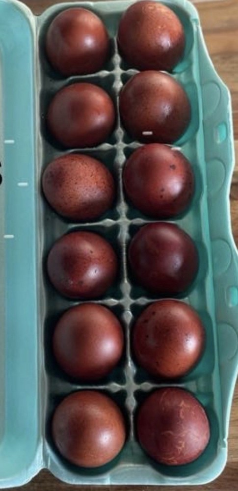6 Black copper Marans hatching eggs