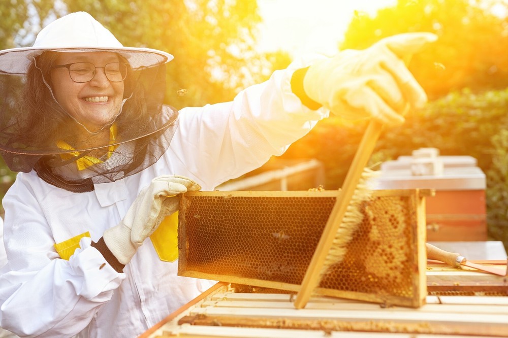 Bee-Sweet Liquid Bee Feed