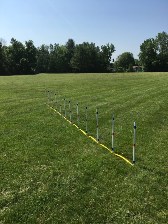 Dog Agility Equipment Stick in ground Weave Poles-set of 12 w/pole placer ⭐⭐⭐⭐⭐