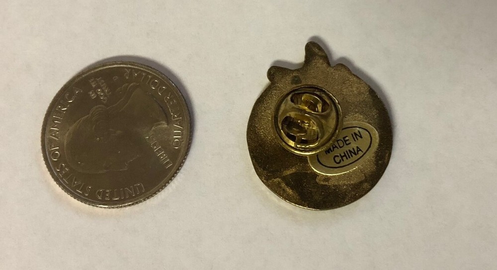 Catechist Pin