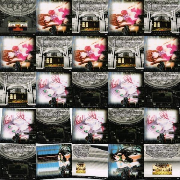Demonbane Card Lot Semi Comp Nitroplus
