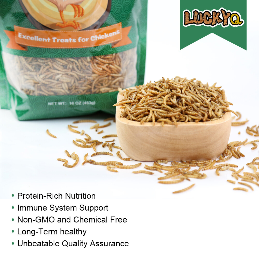 Bulk Dried Mealworms for Wild Birds Food Non-GMO Chickens Hen Fish Treats Food