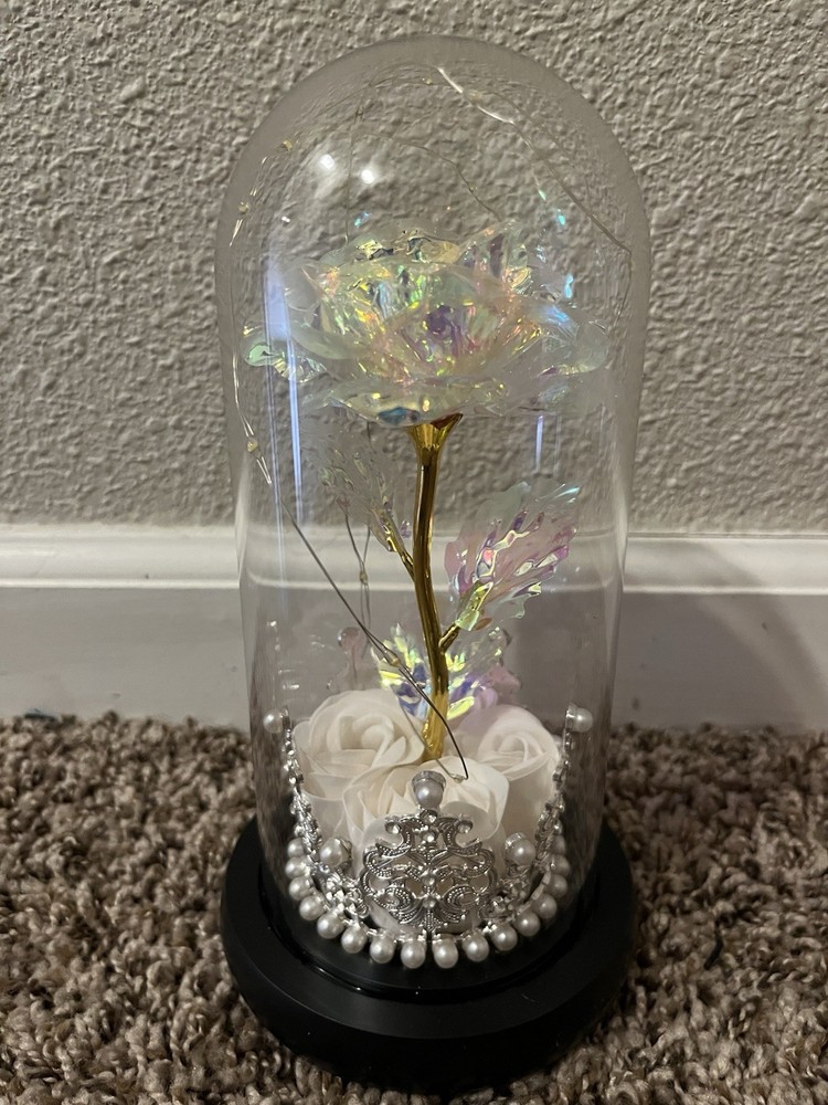 One Preserved Flower, One Endless Love