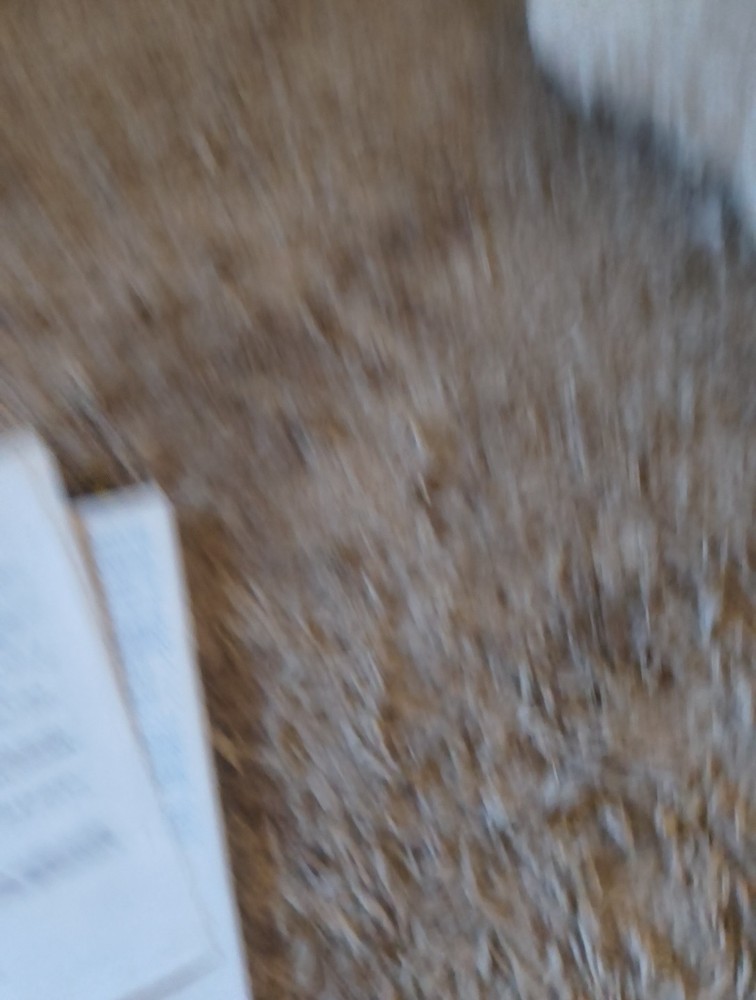 Electronic Arts Hard Nova Computer Game