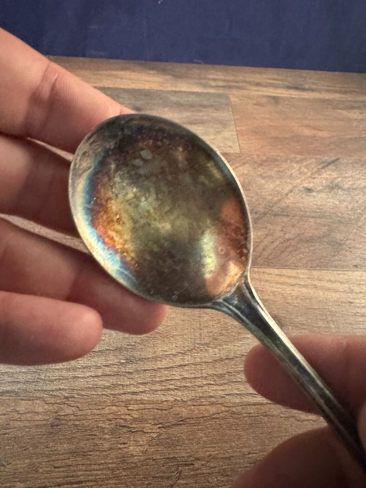 Wm Rogers & Son Soup Spoon Silverplated Lady Doris/Princess Pattern