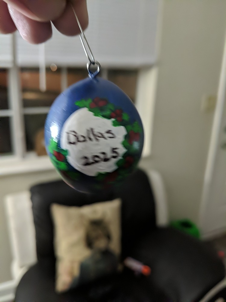Custom Hand painted Egg Gourds