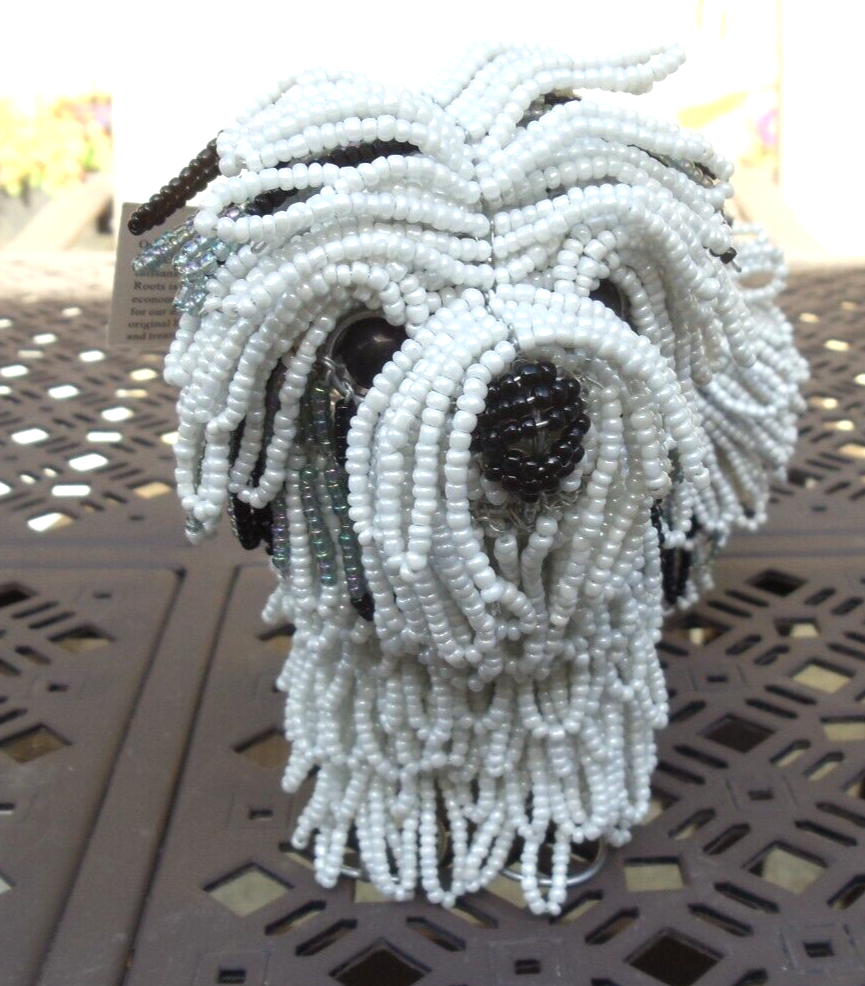 Beaded land: Long-haired Shih Tzu