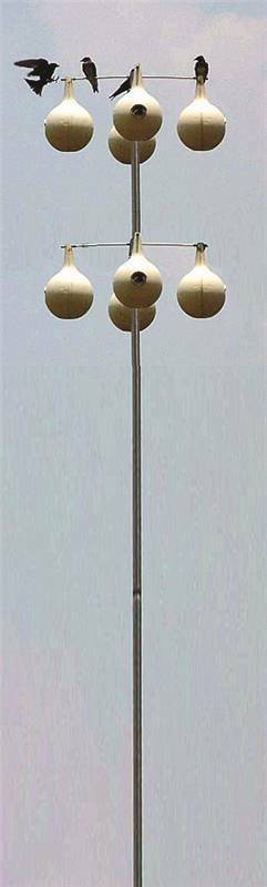 NEW HEATH PURPLE MARTIN MP-19P TELESCOPING 15' MARTIN BIRD HOUSE GOURDS POLE