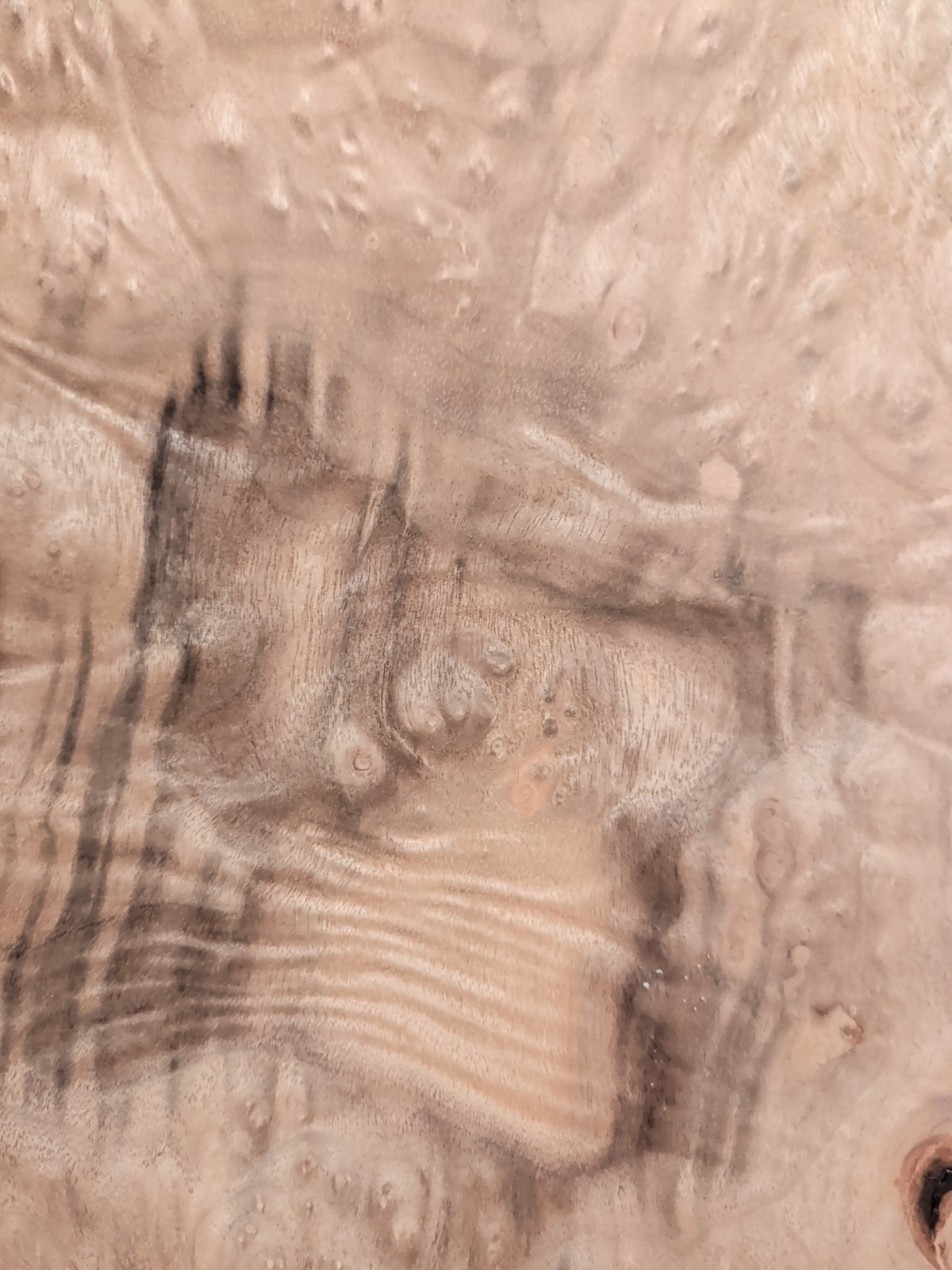 Myrtlewood burl veneer 2 pieces 18 1/4" x 11 5/8" each wood 1/42" raw