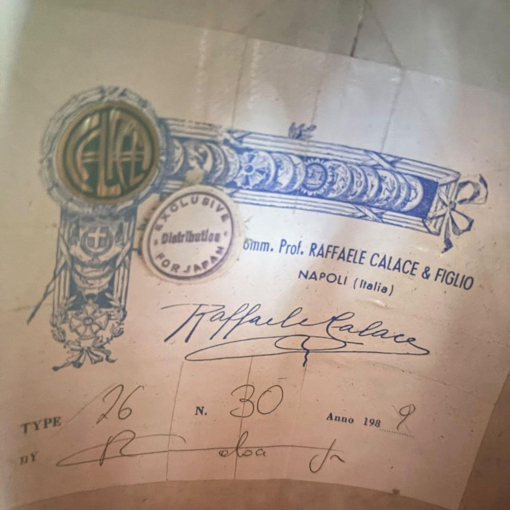 RAFFAELE CALACE Type26 with case