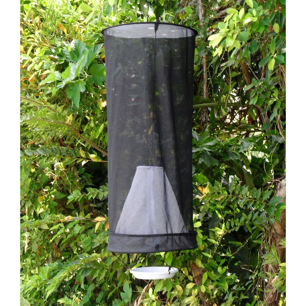 BugDorm Pop-Up Butterfly Bait Trap, Cone Type