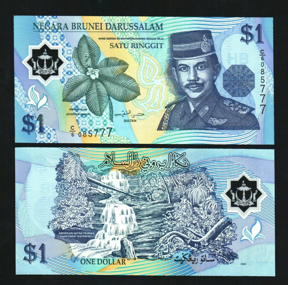 Brunei 1 RINGGIT P-22 1996 1st Date POLYMER UNC WATERFALL Bruneian Currency NOTE