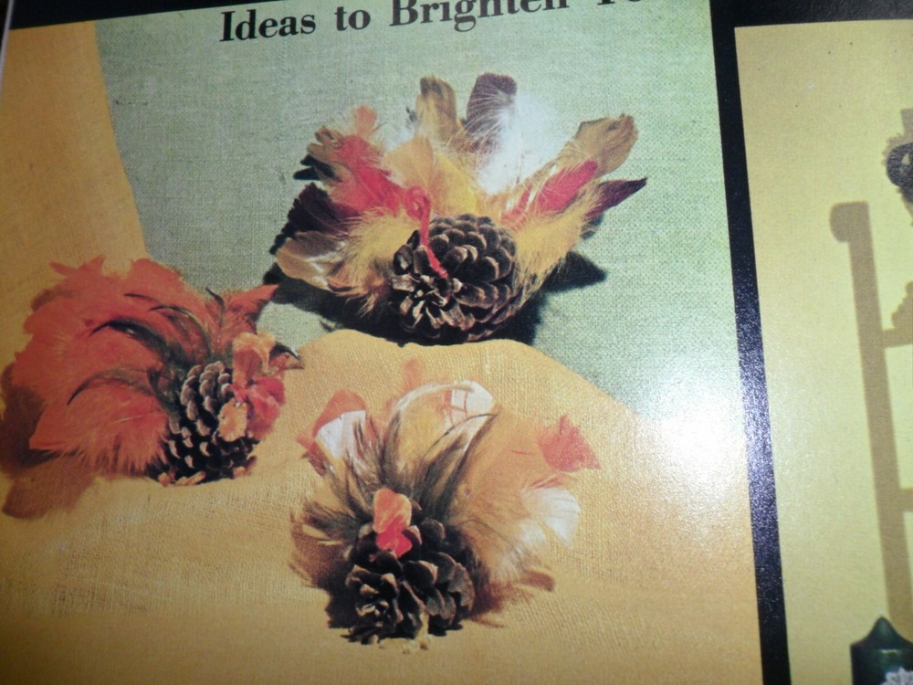 Vintage The Regal Pine Cone Paperback Instruction Book