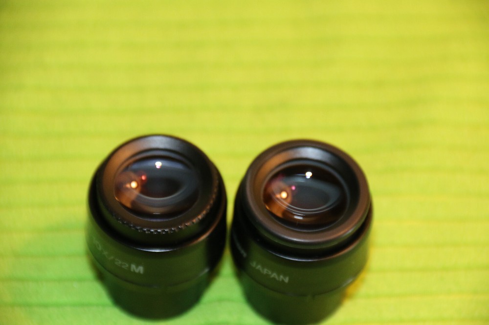 NIKON CFI 10X/22 One M MICROSCOPE EYEPIECE PAIR FOR ECLIPSE E & I SERIES
