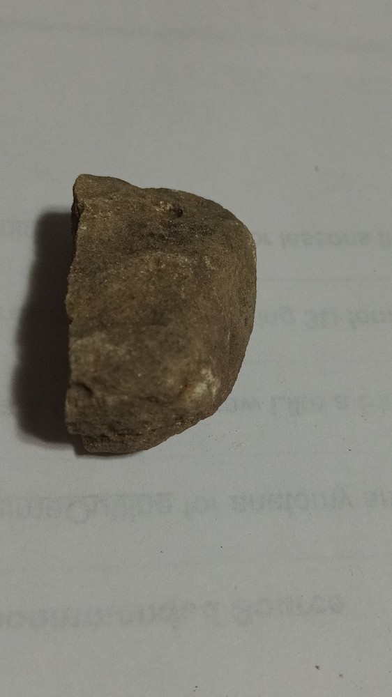 Fossilized Mammal Bone Fragment