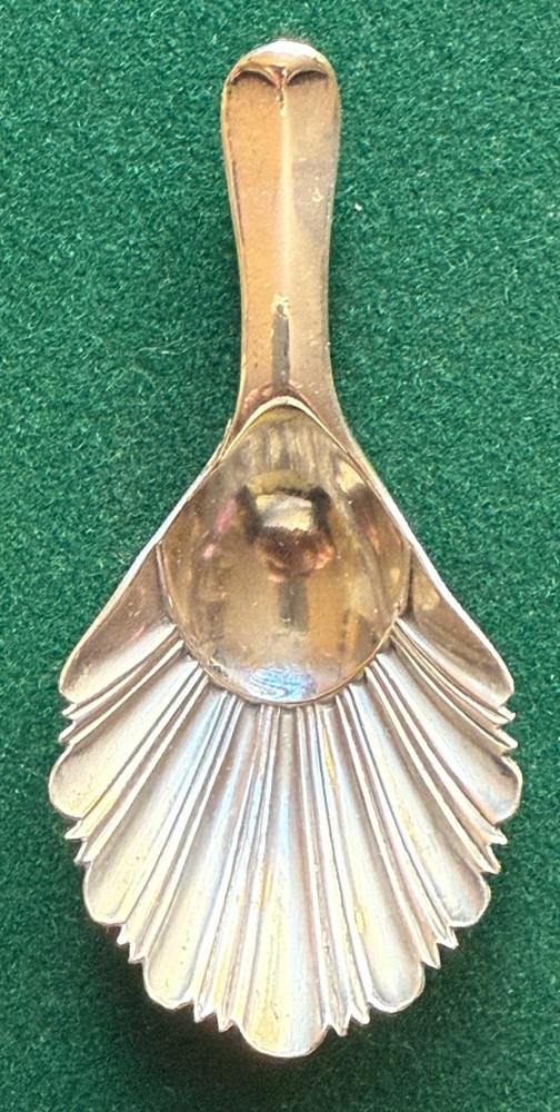 Antique Solid Silver Caddy Scallop Shell Spoon Sheffield Thomas Bradbury & Sons