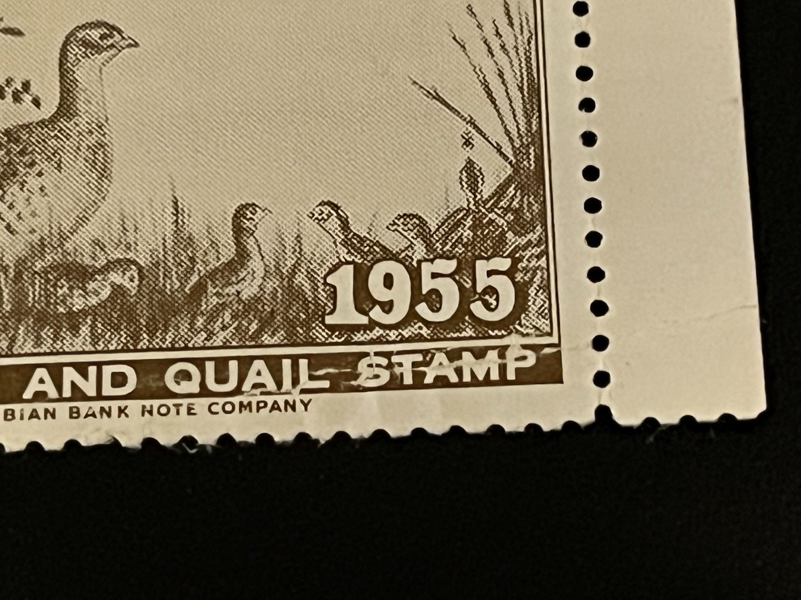 1955 NEBRASKA GAME COMMISSION PHEASANT AND QUAIL STAMP OG