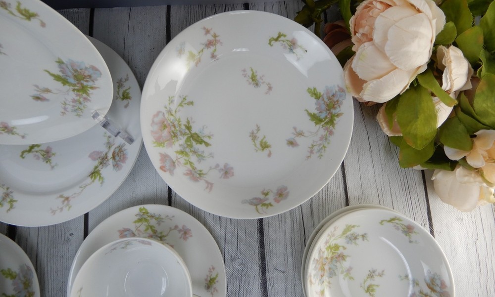 24 Pc 6-Piece 4 Place Setting Haviland Limoges Schleiger 79