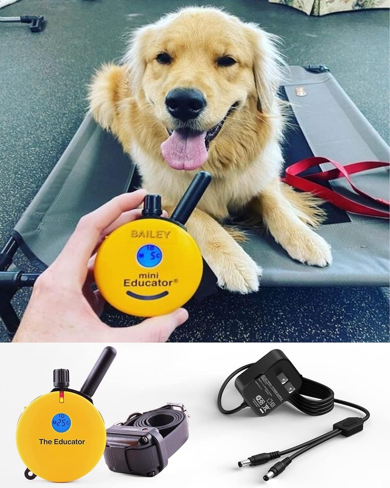 FGIEU Training Collars Charger Compatible with Mini Educator Series Black